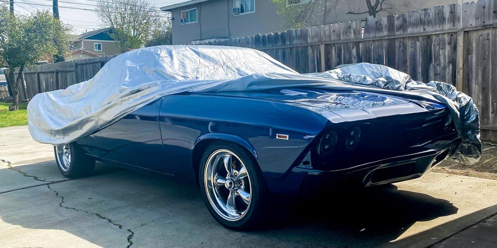 1969 Chevy El Camino Platinum Shield