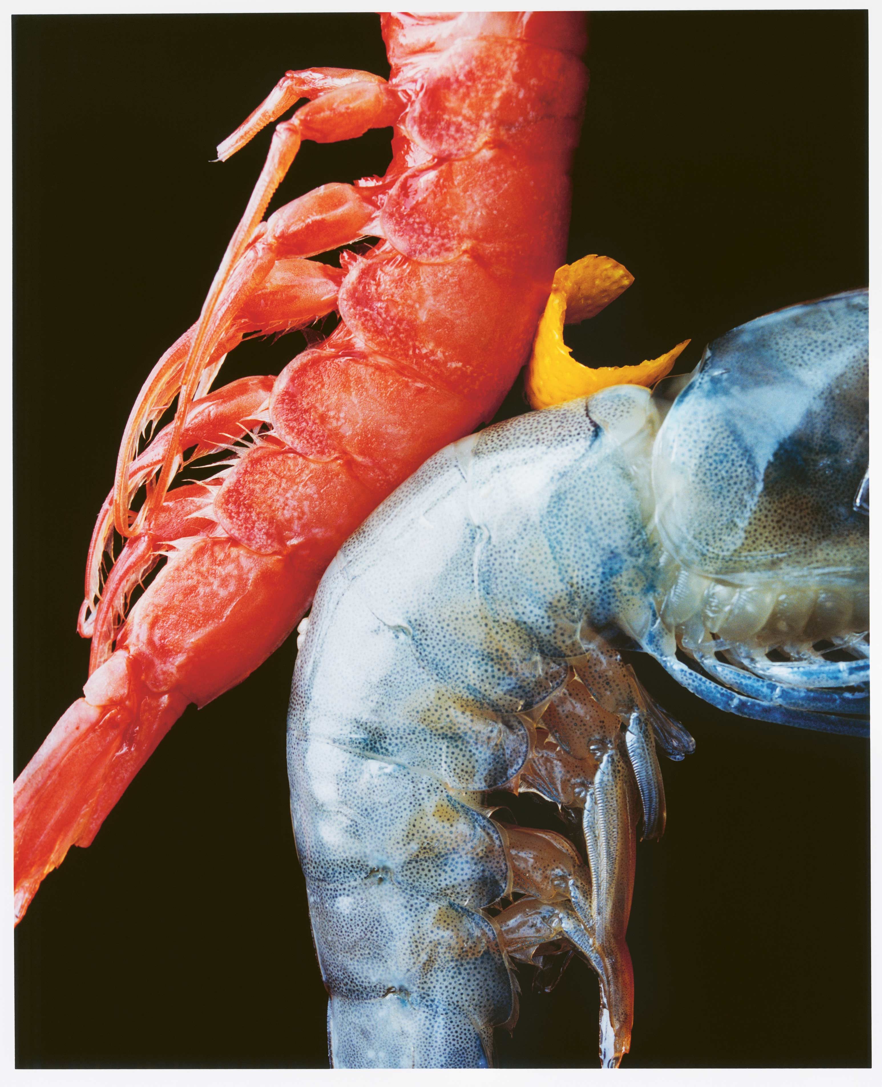 The Dolder Grand: Kulinarik, welche die Sinne verführt