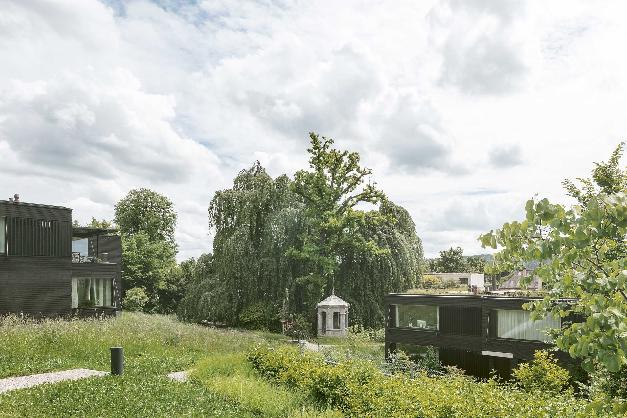 Leimenegg im Park – Zwischen Geschichte und Gegenwart