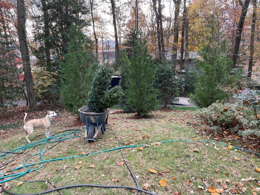 Check out the TurfMutt Foundation's International Backyarding Fact Book ...