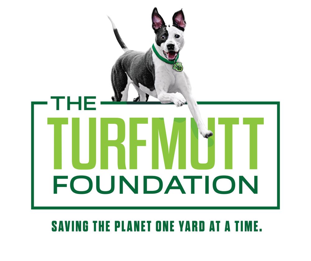 September Mutt Mail is here - The TurfMutt Foundation