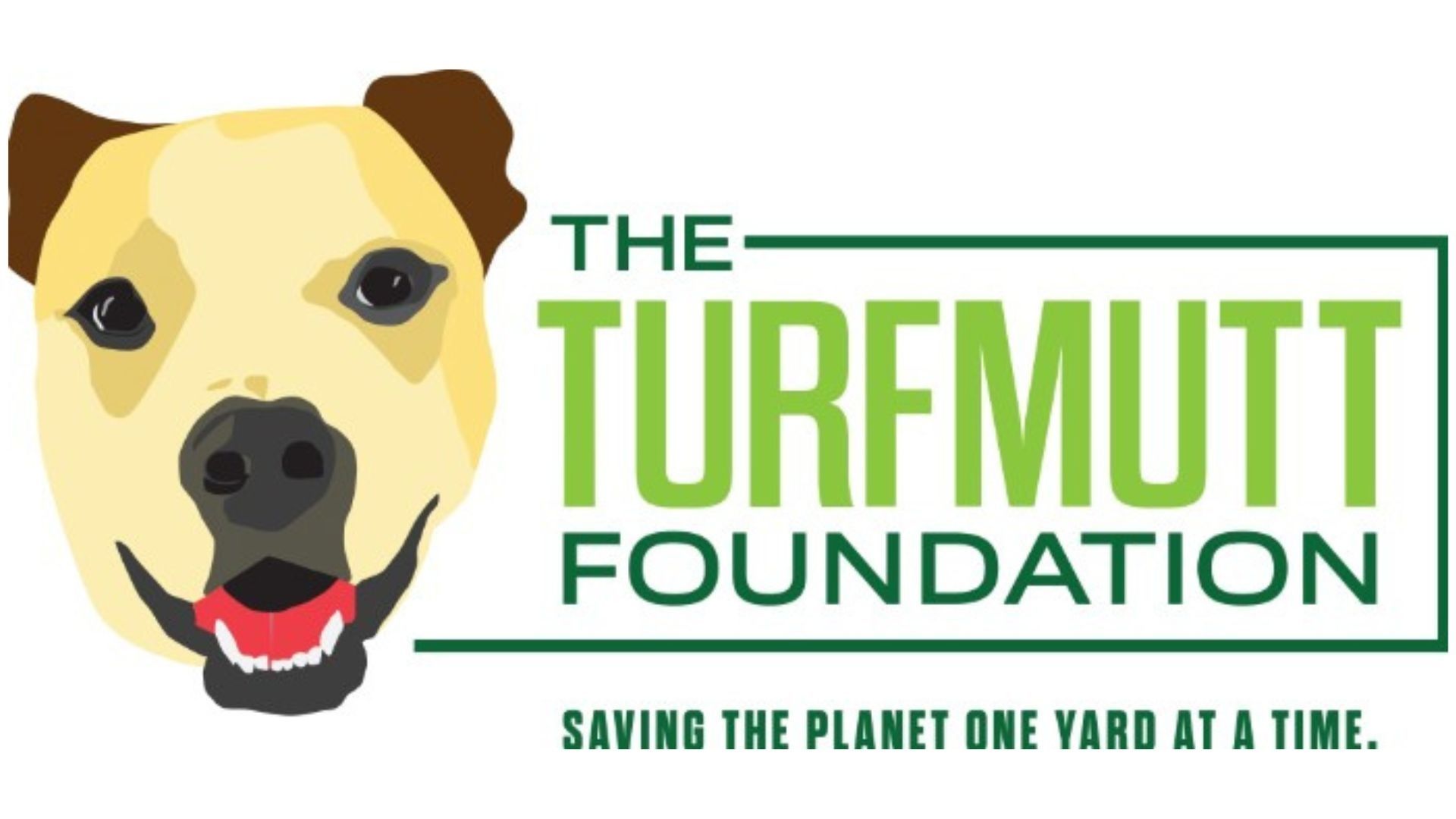 International Backyarding Fact Book Spring - The TurfMutt Foundation