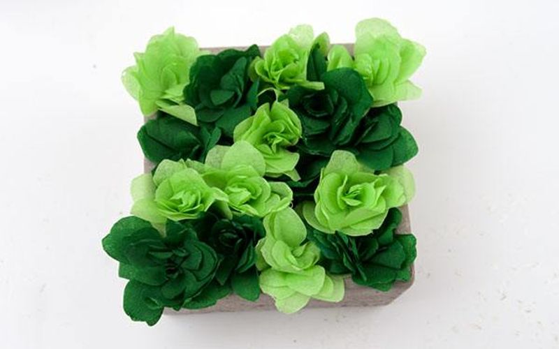 crepe paper succulents - finished!