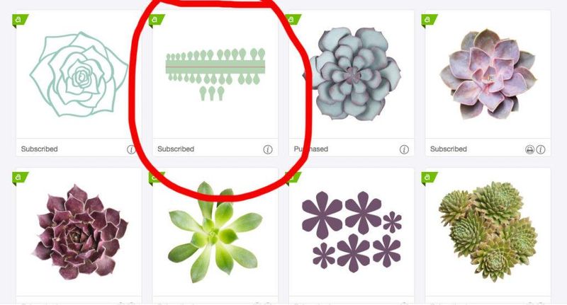 cricut maker succulents file