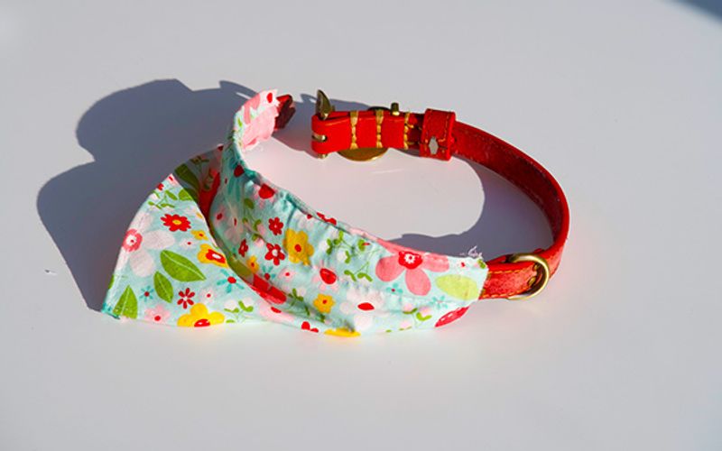 cricut maker dog necktie