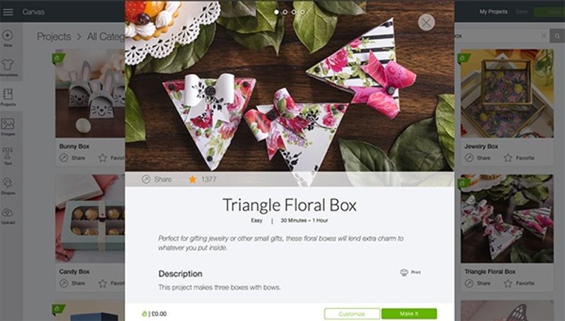 Triangle floral box project
