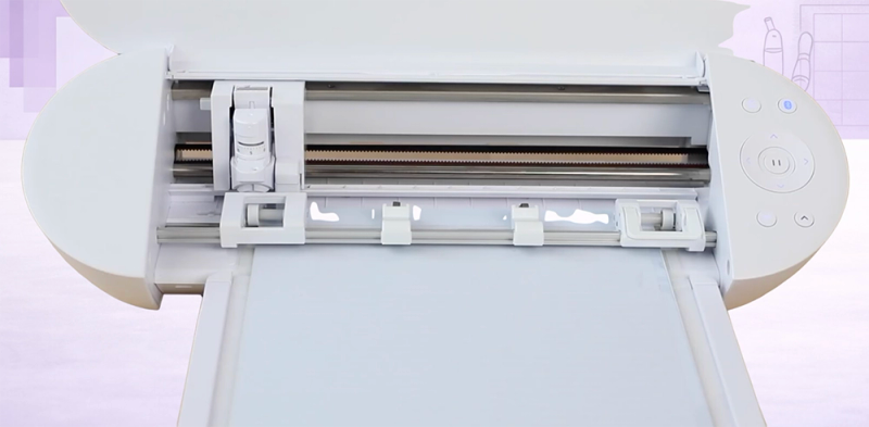 Portrait 4 front view