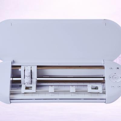 Silhouette Portrait 4