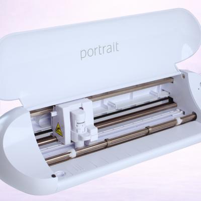 Silhouette Portrait 3