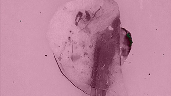 yellow line on wall meeting white line on black pavement