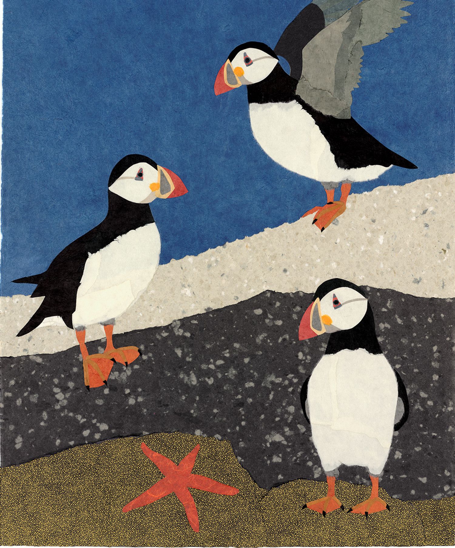 Puffins 2