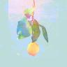 Kenshi Yonezu