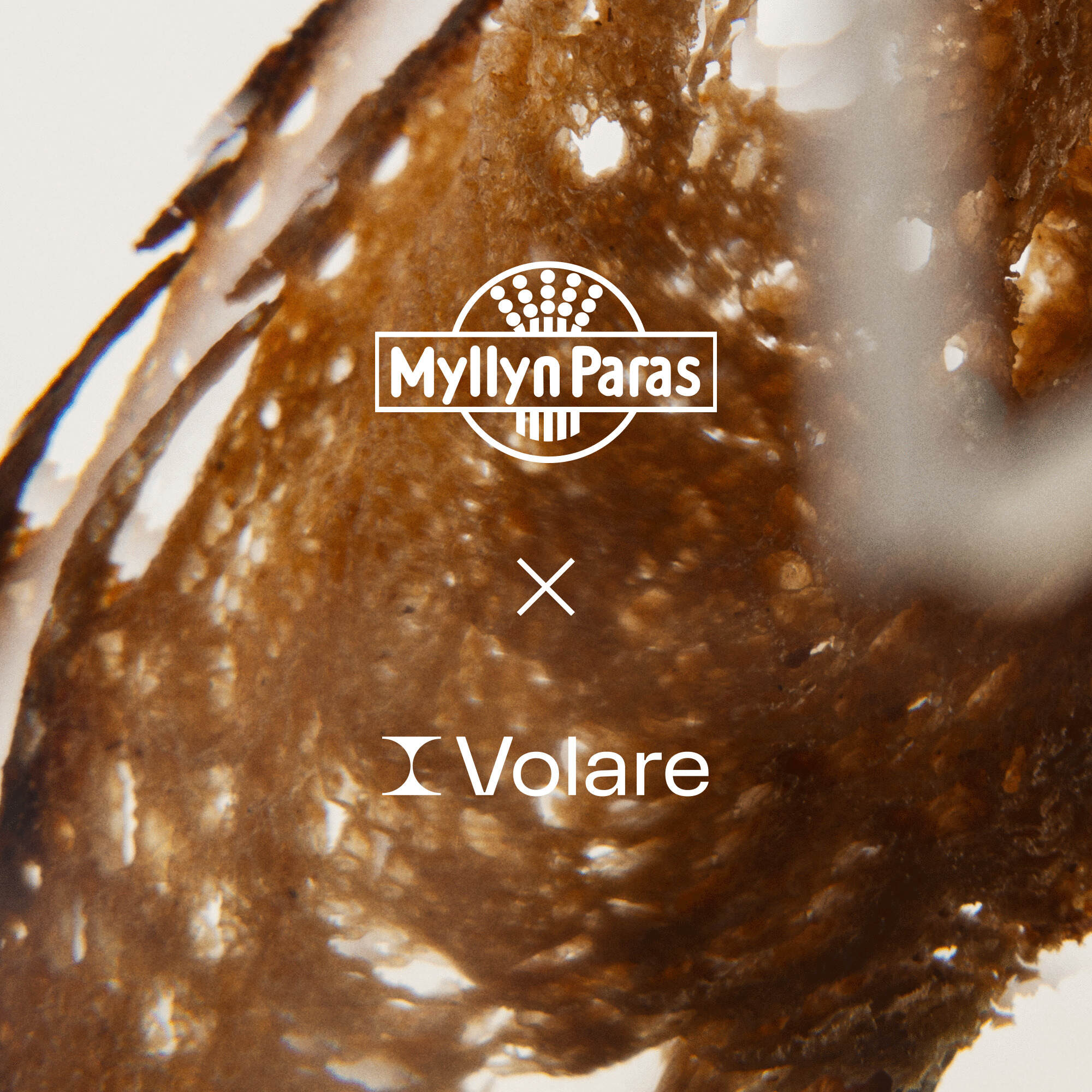 Myllyn Paras and Volare logos on a brown background