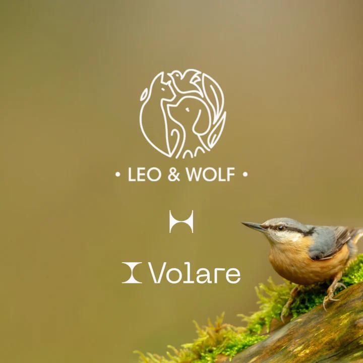 Leo Wolf and Volare logos on a yellowish green background with a little bird