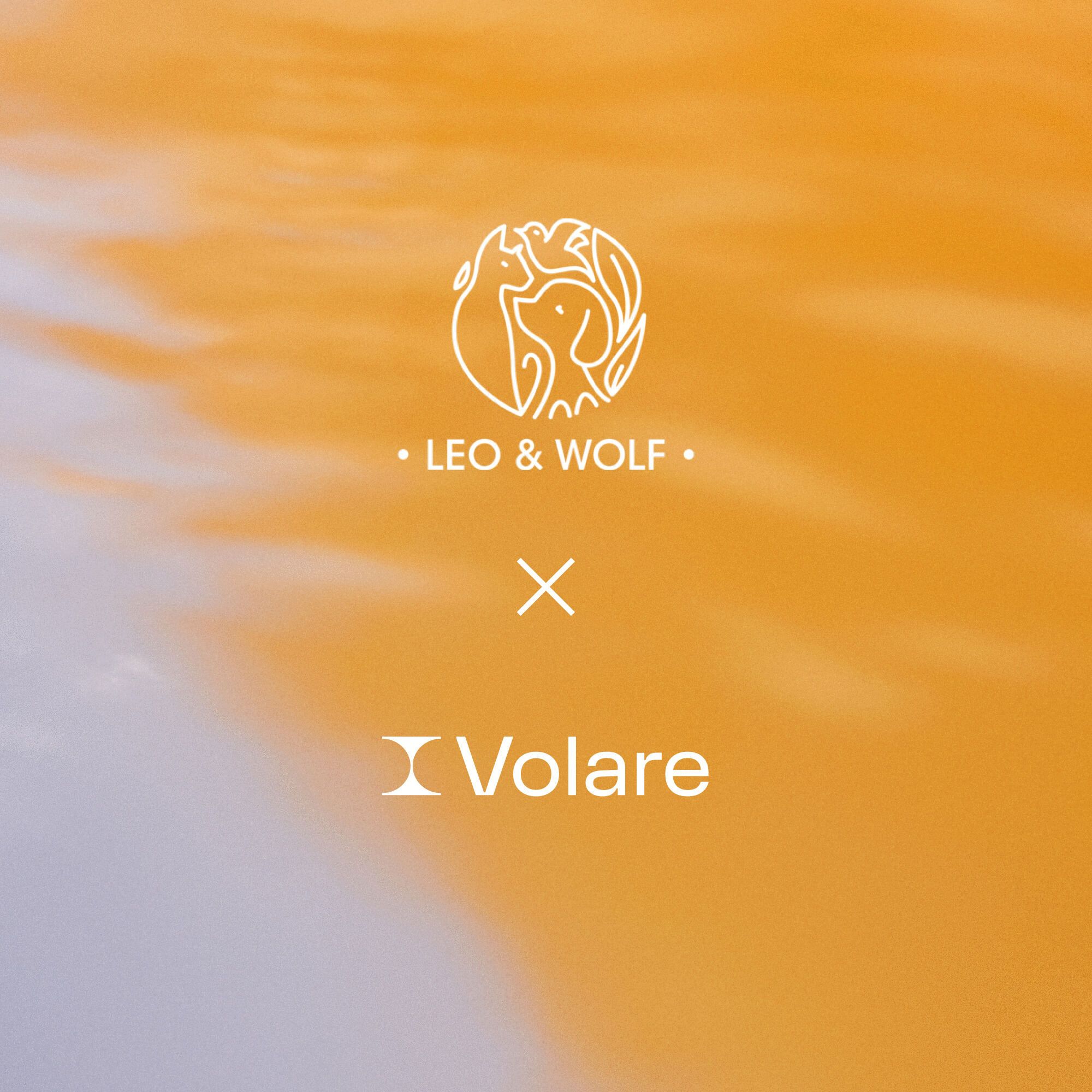 Leo Wolf and Volare logos on a blue and orange background