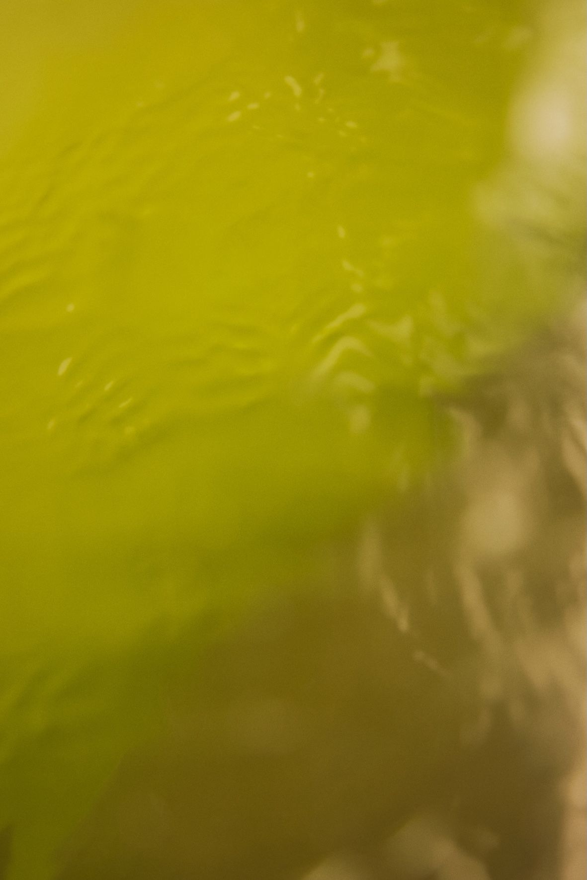 Volare Wins the 2026 Green Transition Business Competition by Biocluster Finland