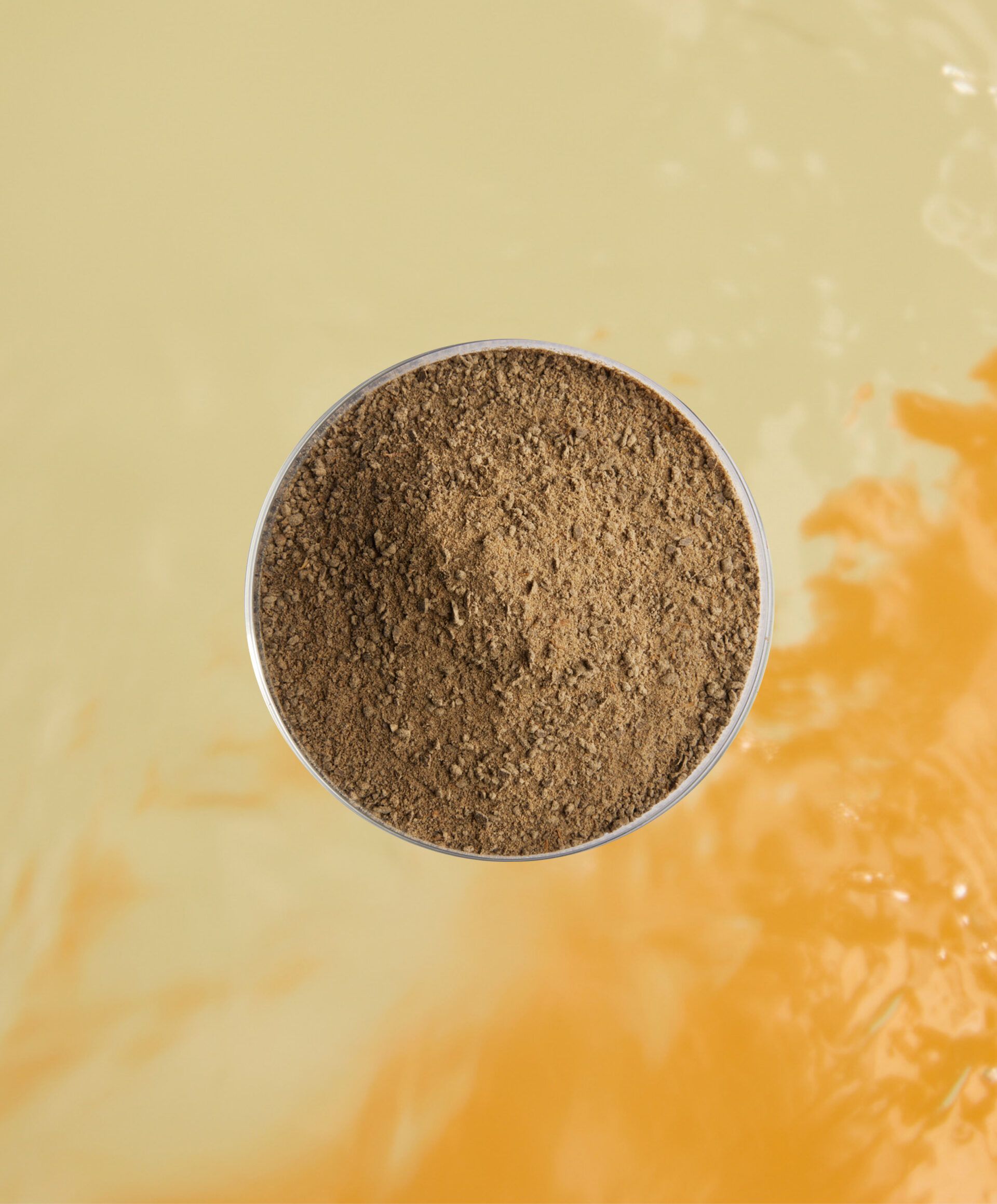 Earthy colored powder in a petri dish on a yellow background