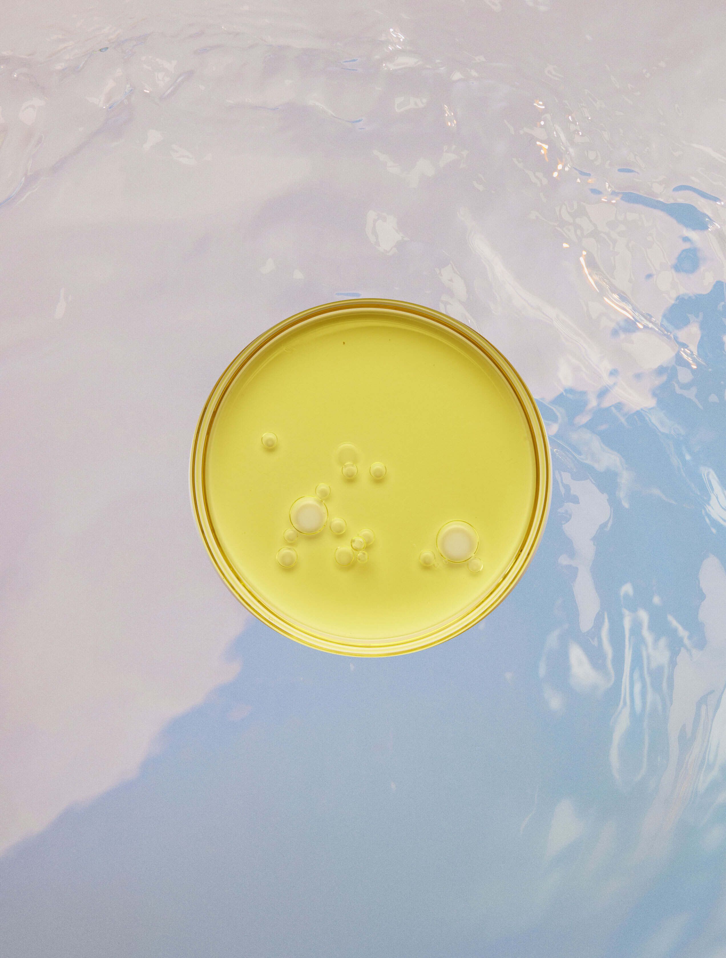 Yellow oil in a petri dish on a light blue background