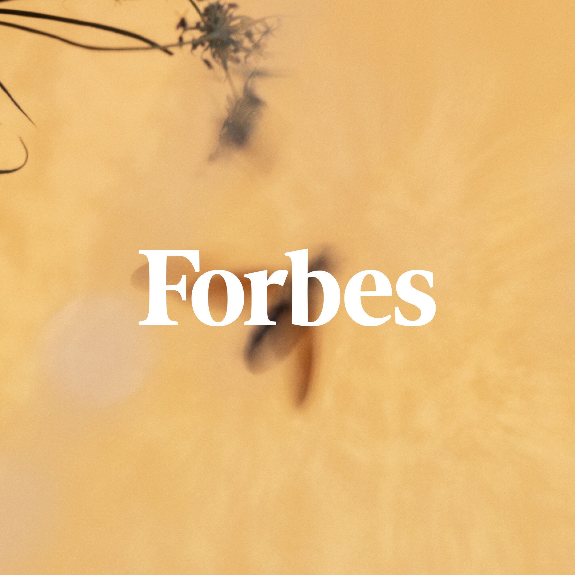 Forbes logo on top of an image of a fly