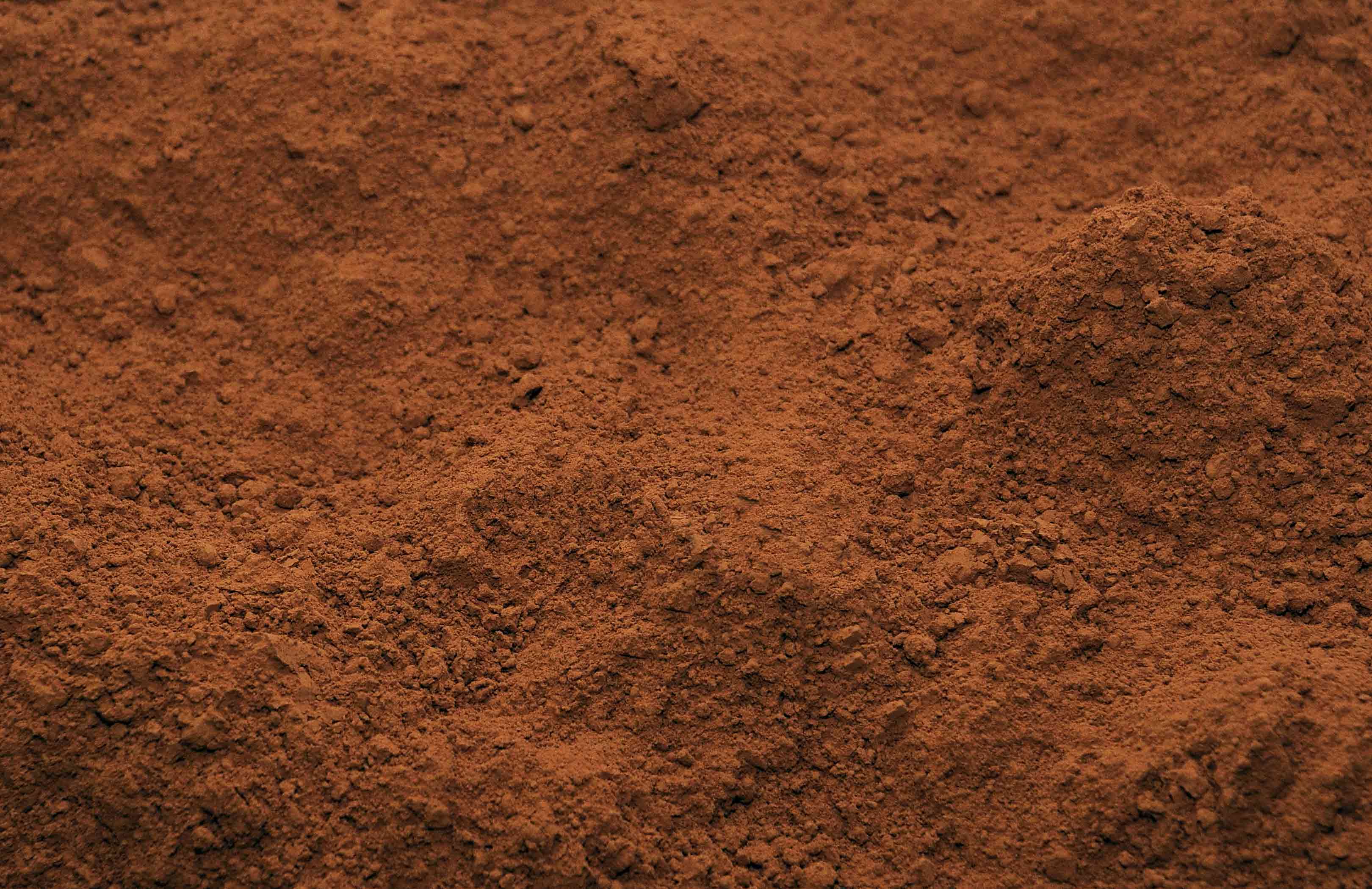 Dry reddish brown soil