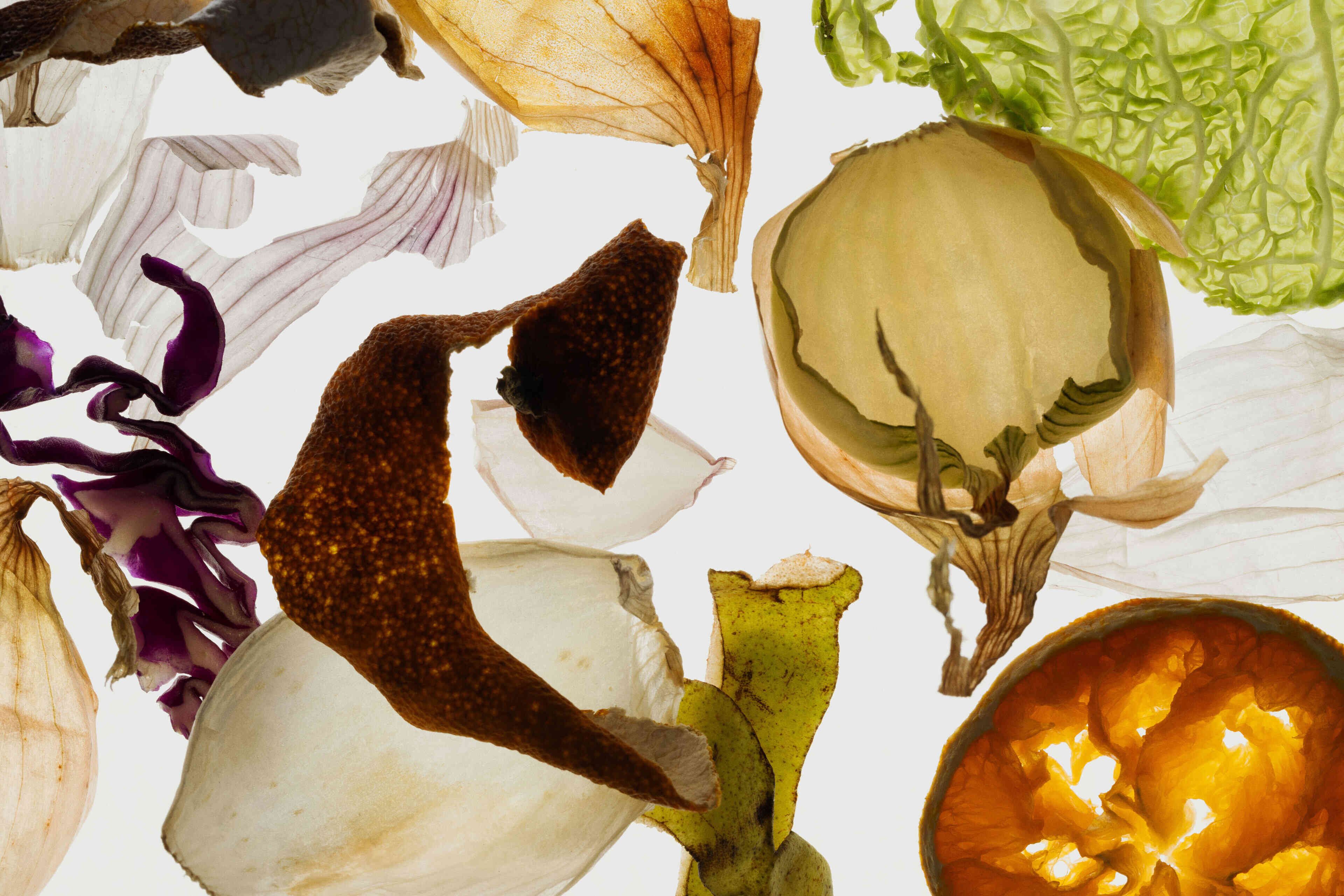 Vegetable and food peels lying artistically on a white background