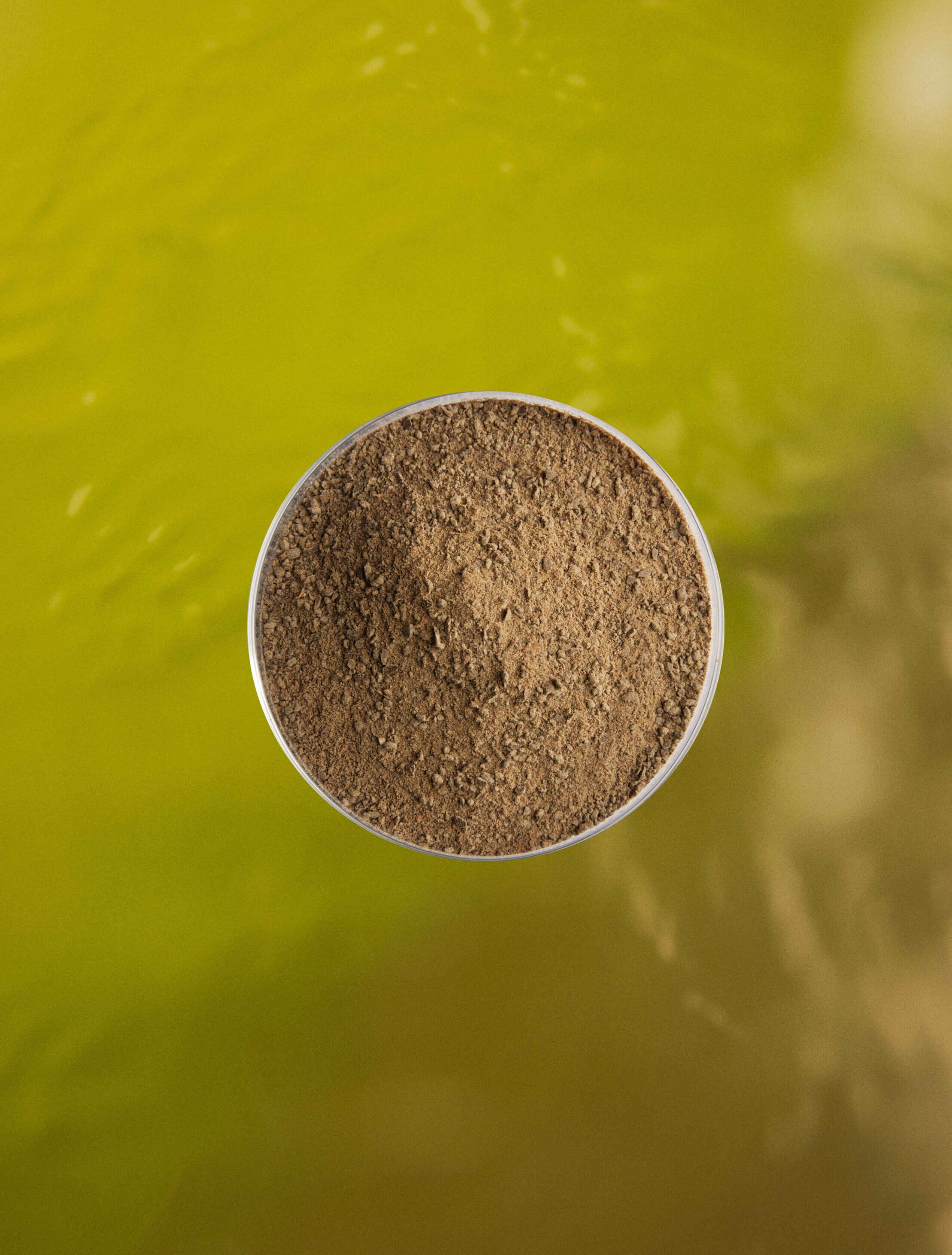 Brown grain powder in a petri dish on a green background
