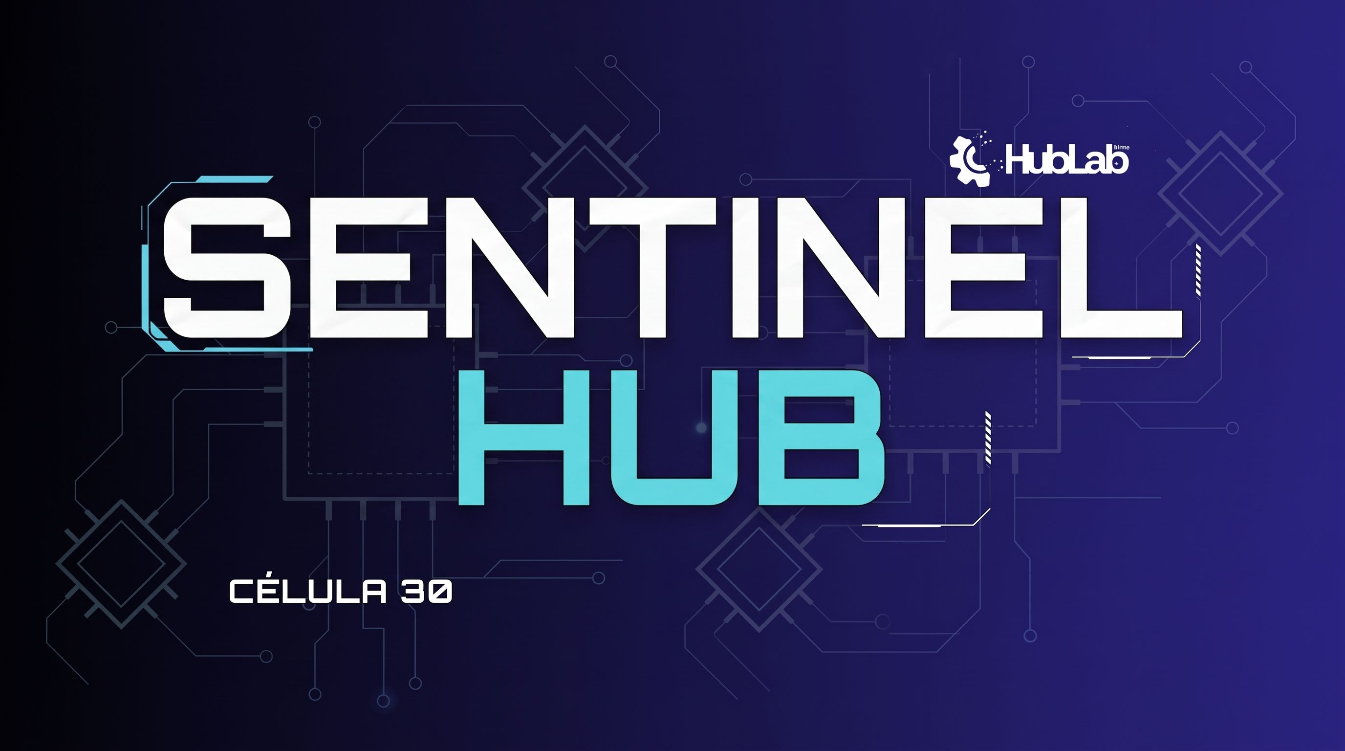 Sentinel-Hub