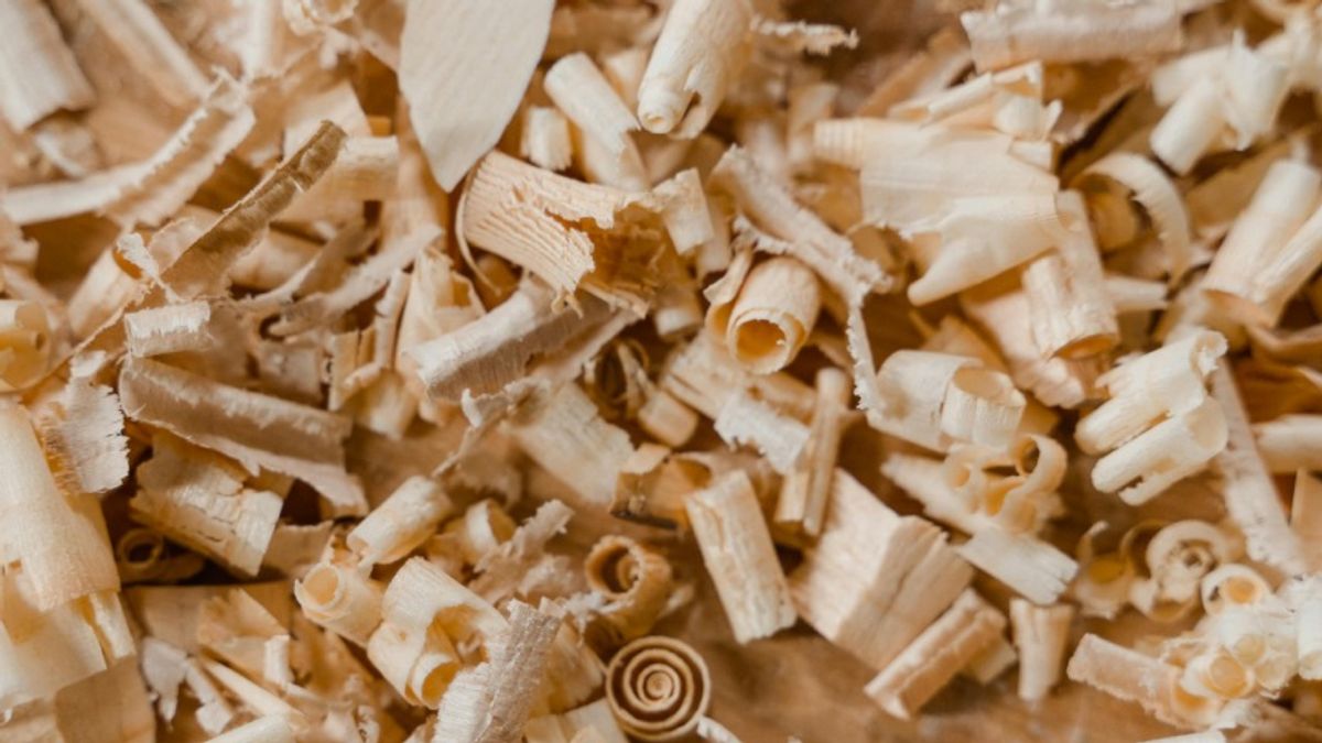 חיתוך עץ לפי מידה חיפה