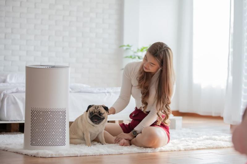 Image of a woman and her pet enjoying their time indoors while using an air purifier.