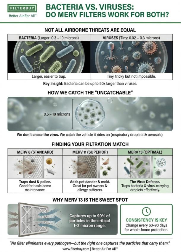 Infographic showing how effective are MERV-rated Filters versus Bacteria and Viruses.