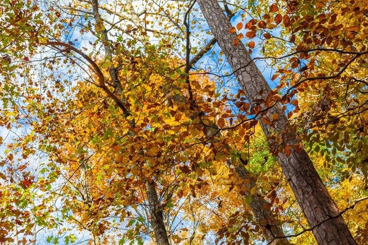 Palm trees silhouetted at sunset along a coastal waterway, highlighting tropical heat in southeastern metro areas.