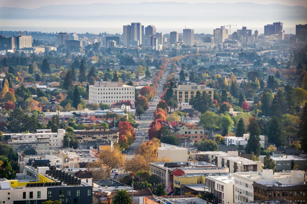 Tree-lined neighborhoods leading to tall buildings.