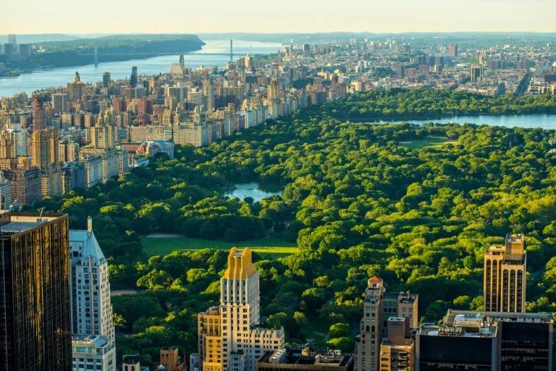View of Central Park and Manhattan skyline illustrating New York City’s extreme Millennial renter wage gap.