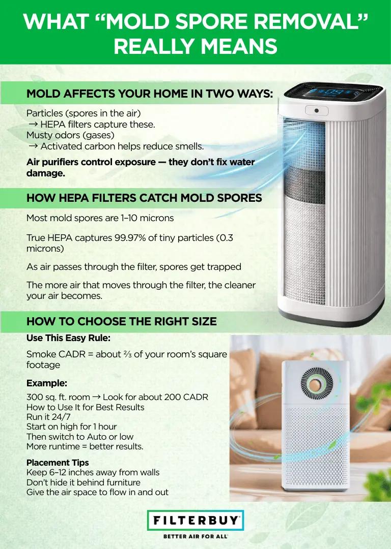HEPA air purifier infographic showing how mold spores are captured and how to choose the right CADR size.