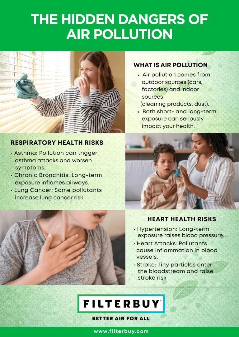 Infographic explaining the hidden dangers of air pollution and its effects on respiratory and heart health.
