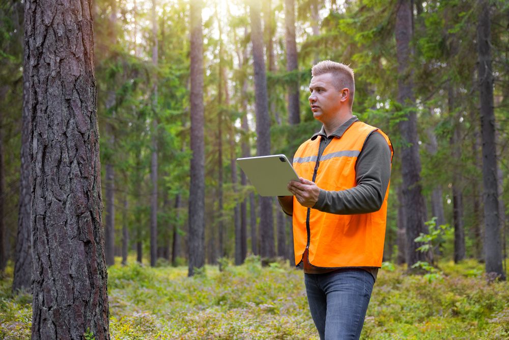 Forestry worker in an orange safety vest using a digital tablet in the woods, representing environmental science and natural resources jobs.