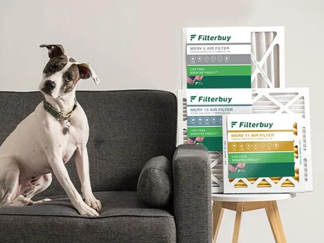 Image of a filterbuy air filter