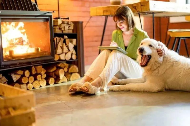 The Best Whole House HVAC Air Freshener System for Home - image of a woman sitting by a fireplace writing in a notebook with a yawning dog beside her.