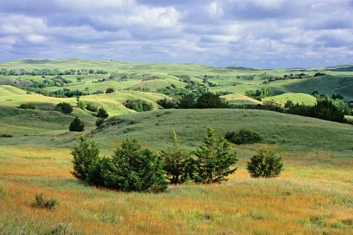 View of grassy hills and small trees stretching across a vibrant landscape under a cloudy sky.