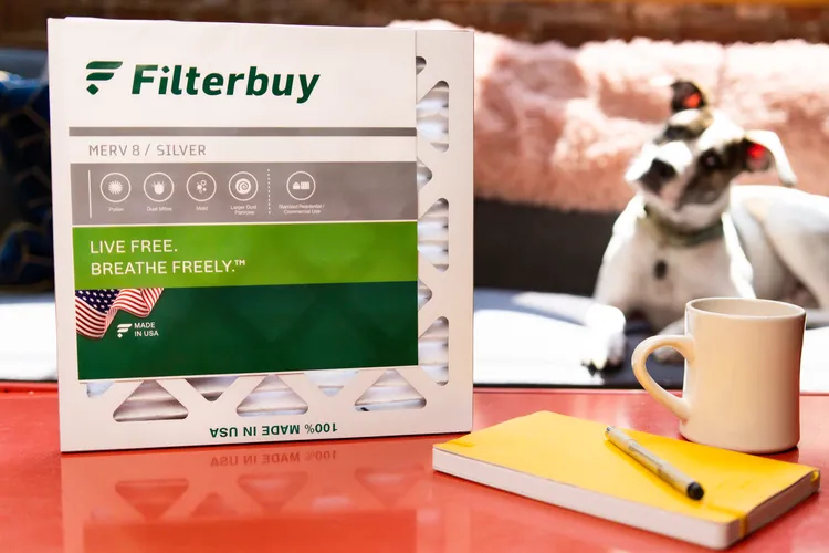 View of a Filterbuy air filter on a table with a notebook, pen, and coffee mug, while a short-haired dog lounges in the background, promoting clean indoor air quality