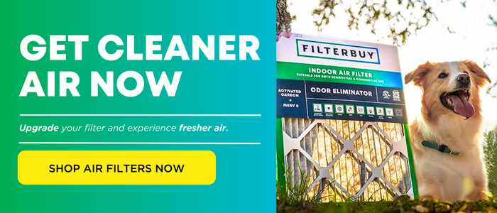 Obtenez un air plus pur maintenant — Achetez des filtres à air