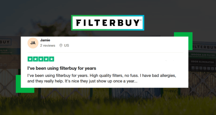 10 Best Air Purifying Plants - Filterbuy air filter customer happily discusses her experience how high-efficiency air filters from Filterbuy helped her from getting her allergies controlled.