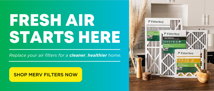 10 Best Air Purifying Plants - Image of Filterbuy high-efficiency and quality air filters that traps pollen, dust, and allergens indoors.
