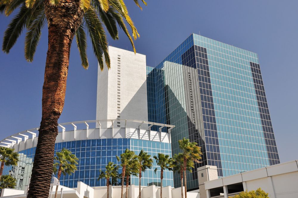 Palm tree in front of modern glass office buildings under a clear blue sky