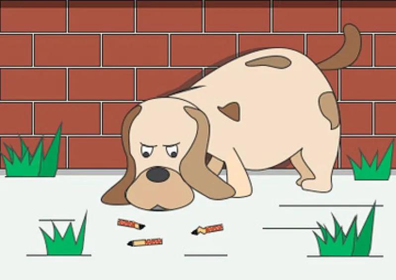 View of a familys dog sniffing the cigarette butts on the floor that were left behind.