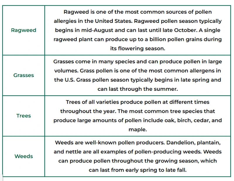 Pollen sources chart showing ragweed, grasses, trees, and weeds with allergy seasons.