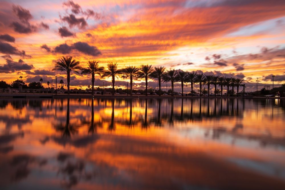 Magnifique coucher de soleil aux teintes orange, violet et rose se reflétant sur un plan d’eau calme, encadré par une rangée de palmiers. La scène capture la beauté d’un paysage tropical au crépuscule.