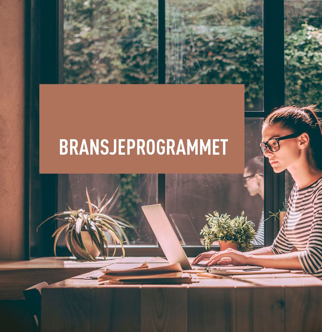 Bransjeprogrammet frisør