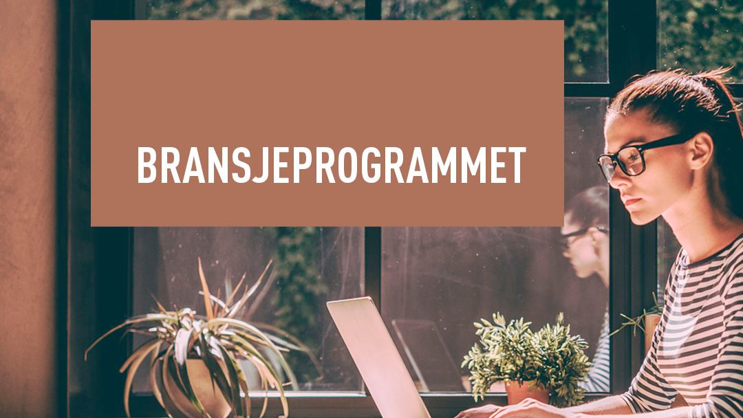 Bransjeprogrammet frisør