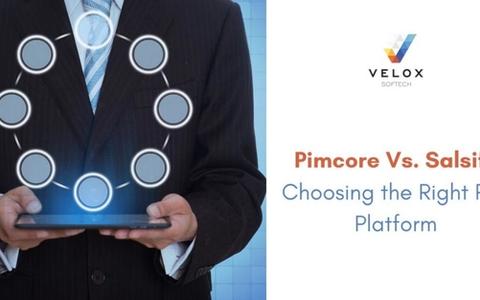 Pimcore Vs. Salsify – Choosing the Right PIM Platform